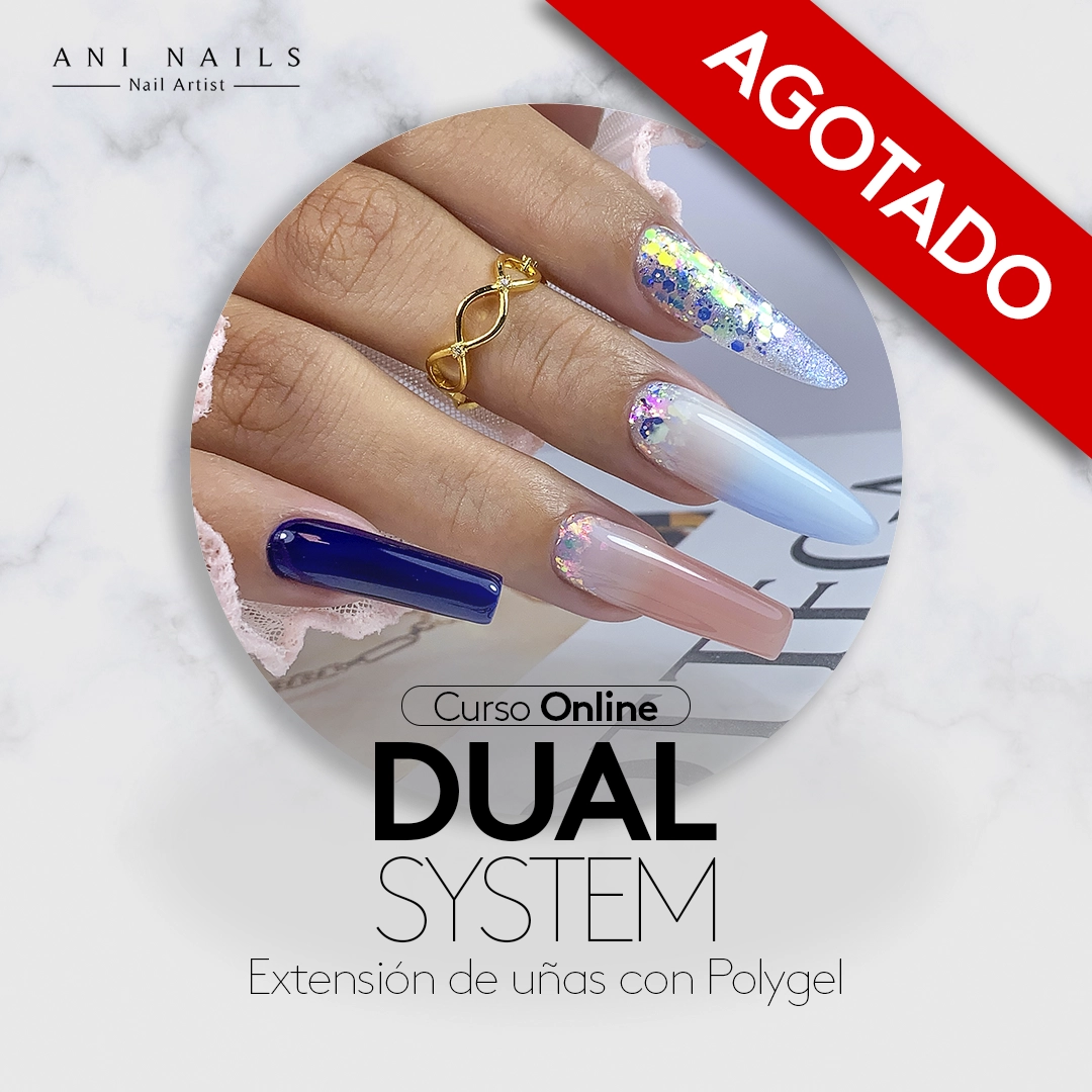 DUAL SYSTEM